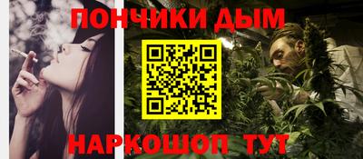 шишки Кингисепп